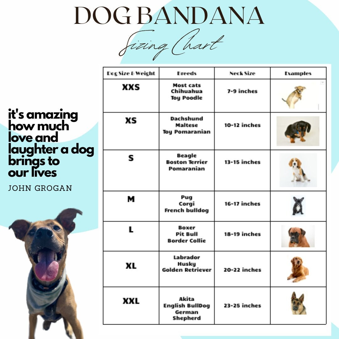 Matching dog bandana + scrunchie for dog mom| Match your dog| Handmade soft & comfy| Add a BowTie for dad or baby| For Spring