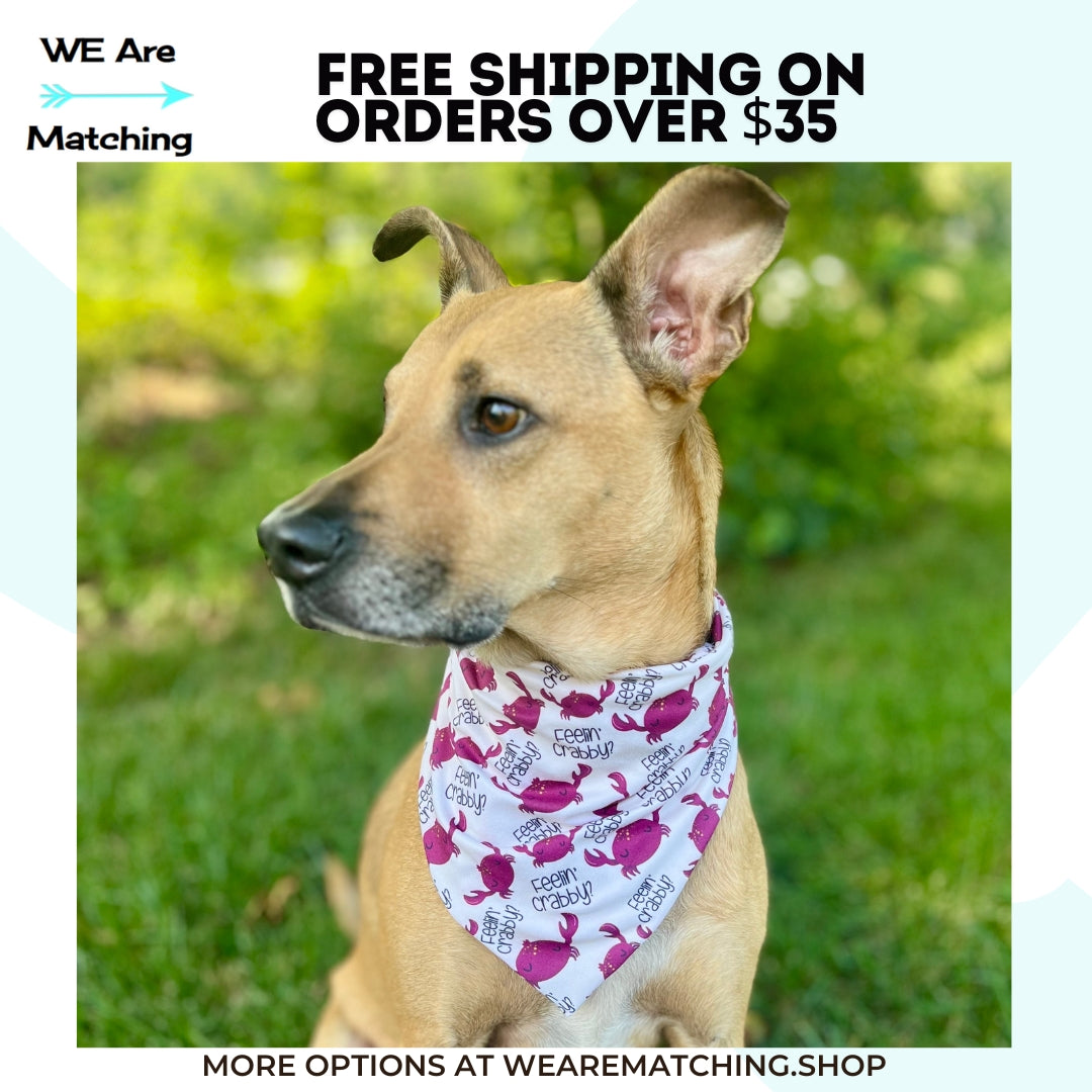 Matching dog bandana + knotted headband for dog mom| Match your dog for Back-to-School